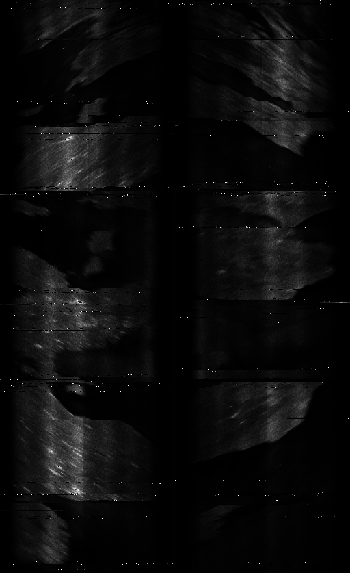 ASCAT-ALL.png